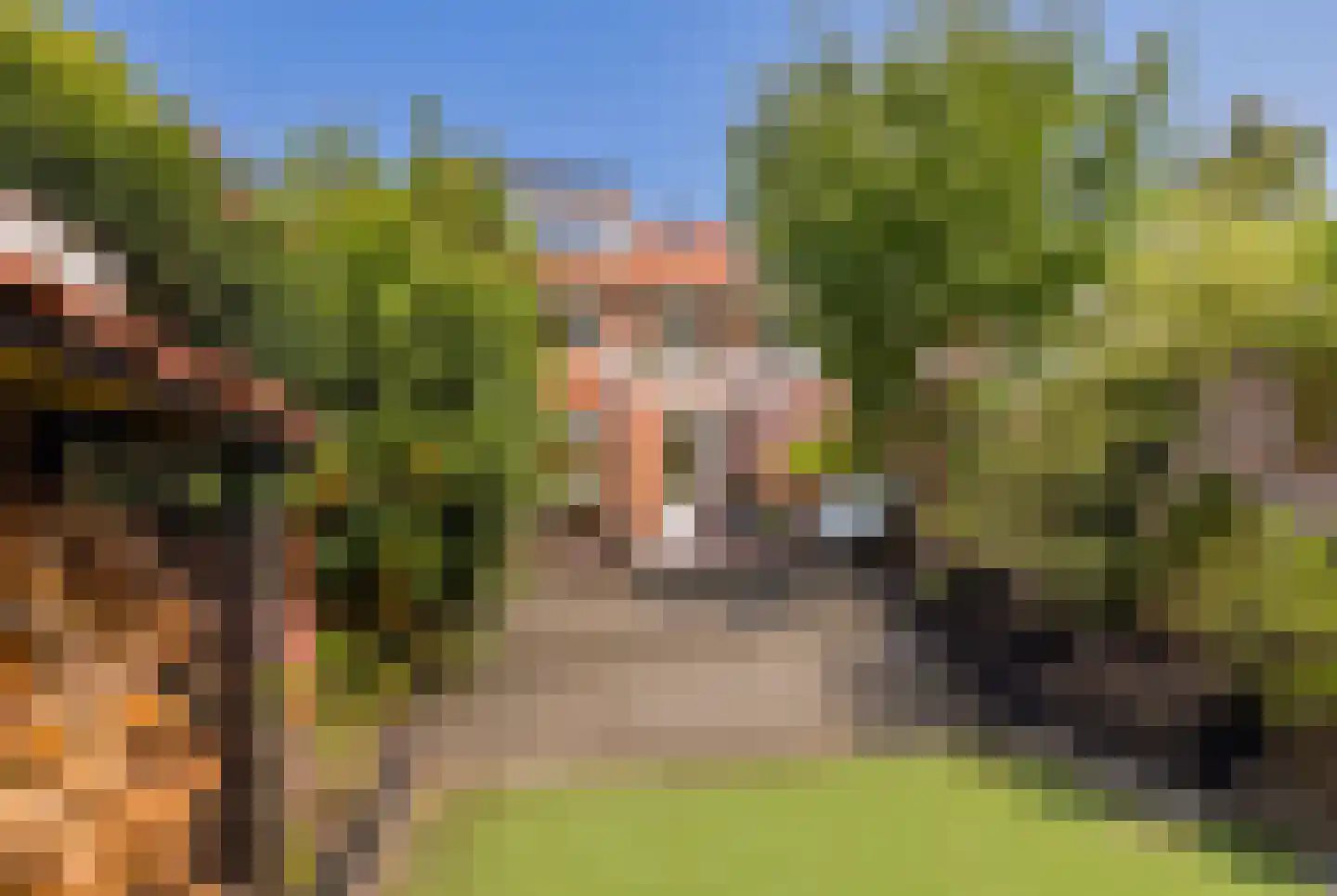 Wüstelaan 52 Santpoort-Zuid thumbnail 29