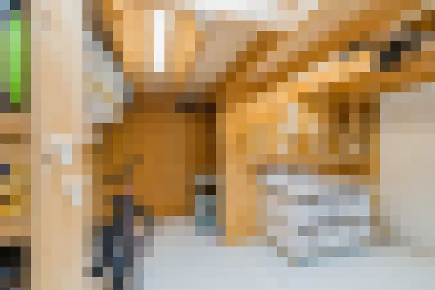 Wüstelaan 52 Santpoort-Zuid thumbnail 34