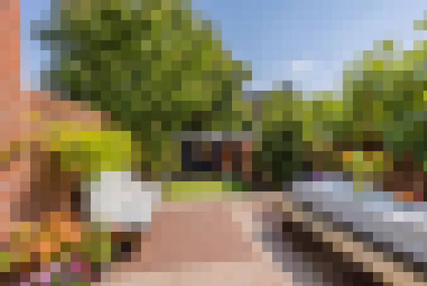 Wüstelaan 52 Santpoort-Zuid thumbnail 4