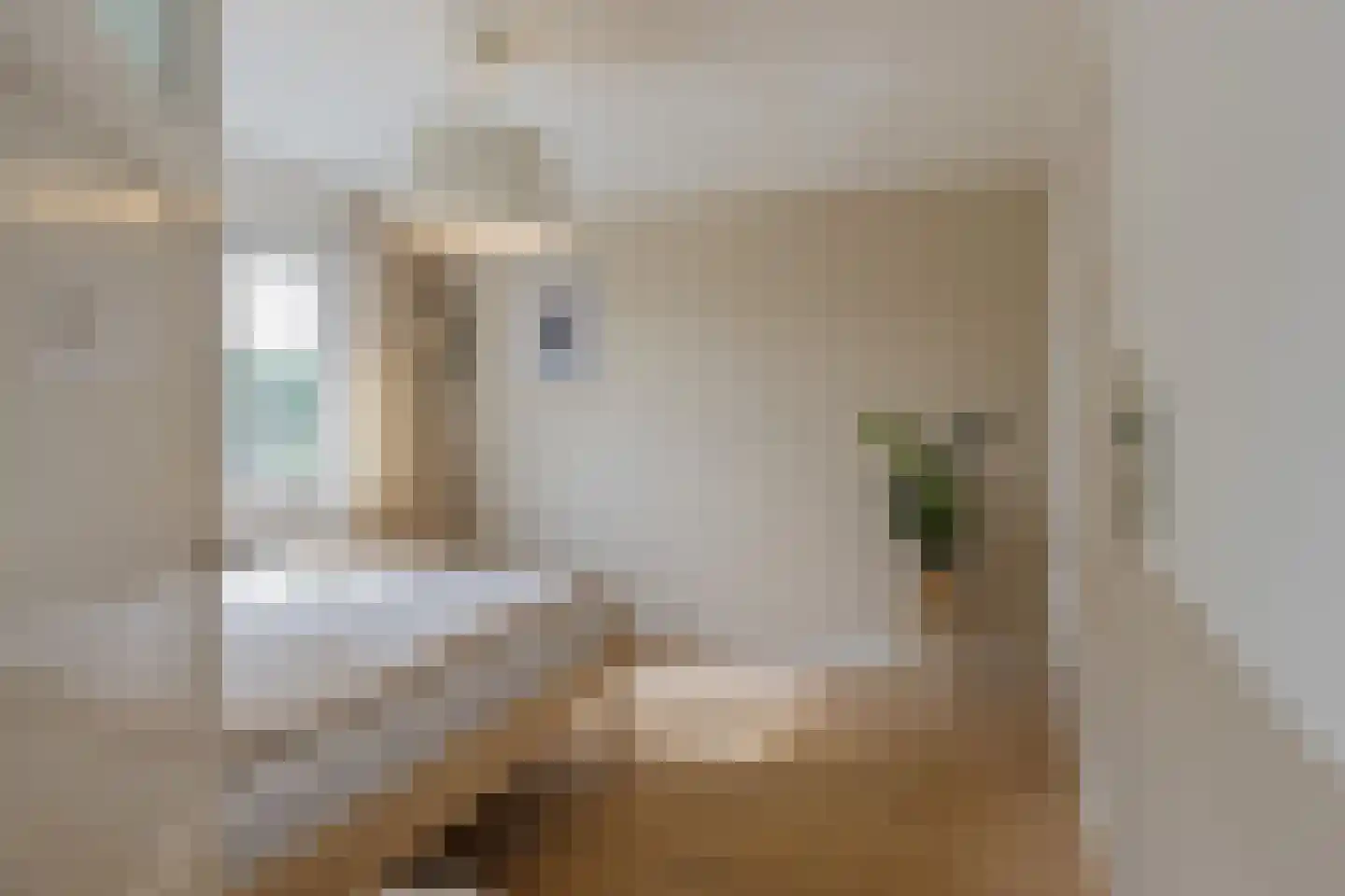 Wüstelaan 52 Santpoort-Zuid thumbnail 40