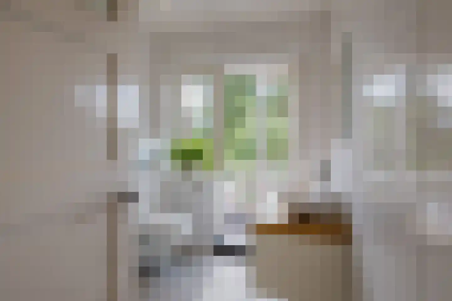 Wüstelaan 52 Santpoort-Zuid thumbnail 49