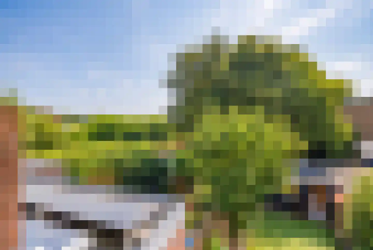 Wüstelaan 52 Santpoort-Zuid thumbnail 53