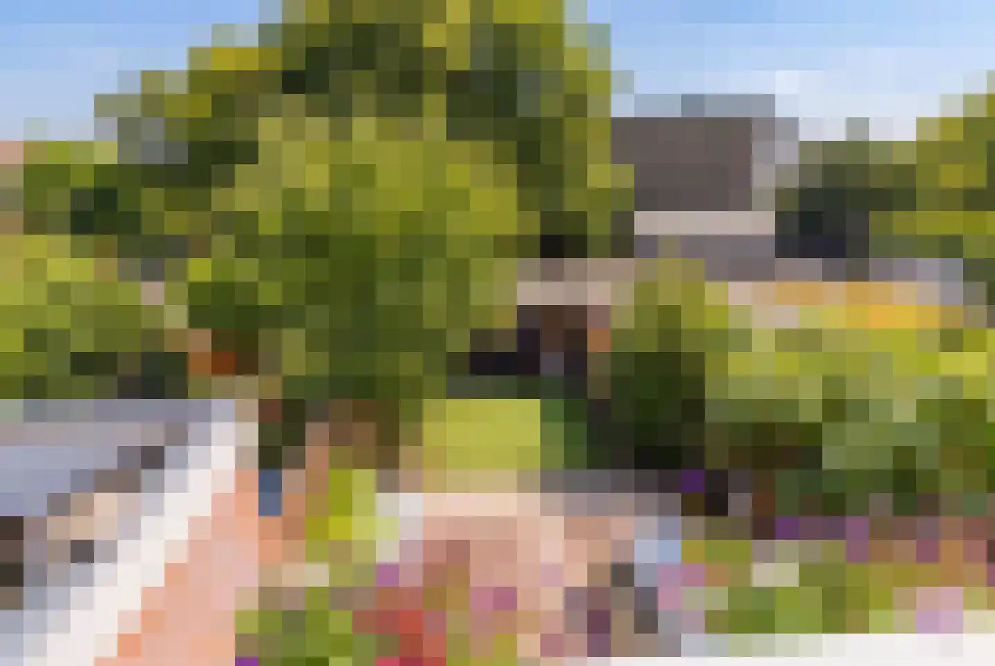 Wüstelaan 52 Santpoort-Zuid thumbnail 54