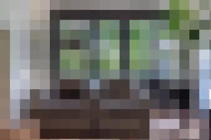 Wüstelaan 76 Santpoort-Zuid thumbnail 21