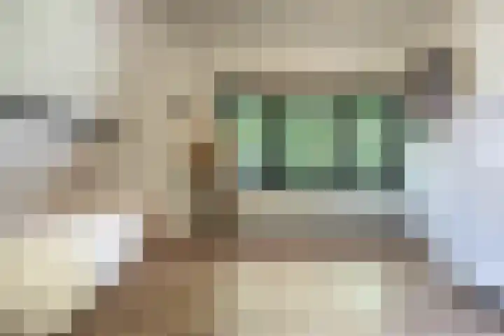 Wüstelaan 76 Santpoort-Zuid thumbnail 32