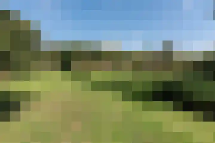 Wüstelaan 76 Santpoort-Zuid thumbnail 34