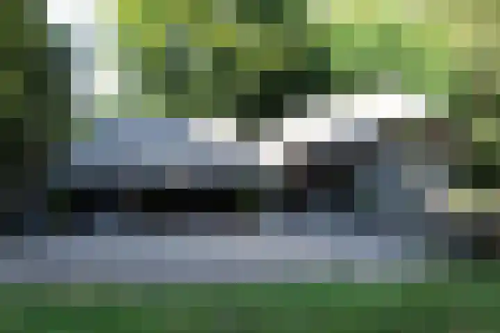 Wüstelaan 76 Santpoort-Zuid thumbnail 35