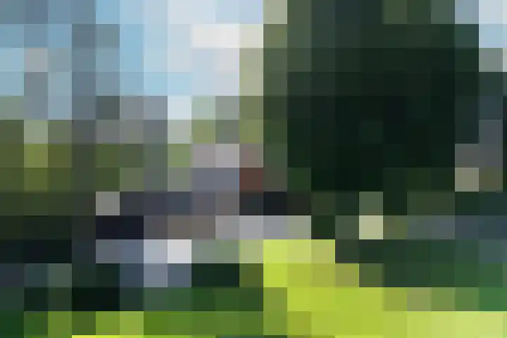 Wüstelaan 76 Santpoort-Zuid thumbnail 36
