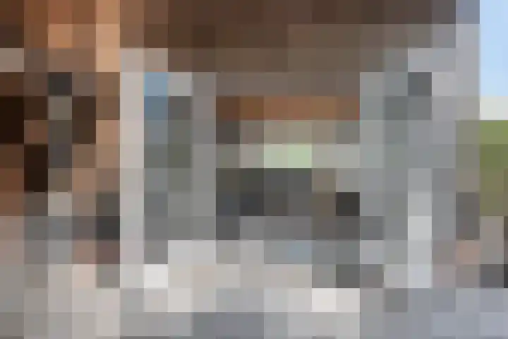 Wüstelaan 76 Santpoort-Zuid thumbnail 37