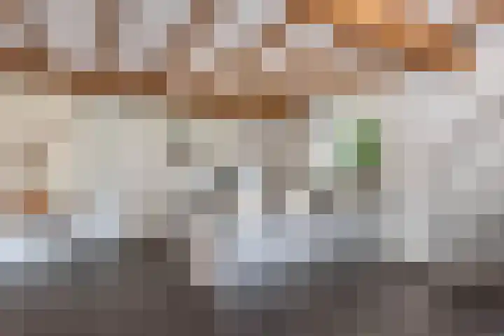 Wüstelaan 76 Santpoort-Zuid thumbnail 43