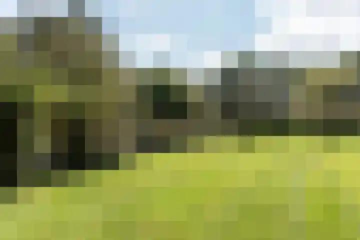 Wüstelaan 76 Santpoort-Zuid thumbnail 47