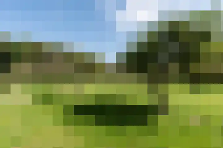 Wüstelaan 76 Santpoort-Zuid thumbnail 48