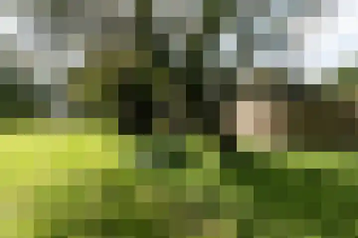 Wüstelaan 76 Santpoort-Zuid thumbnail 51