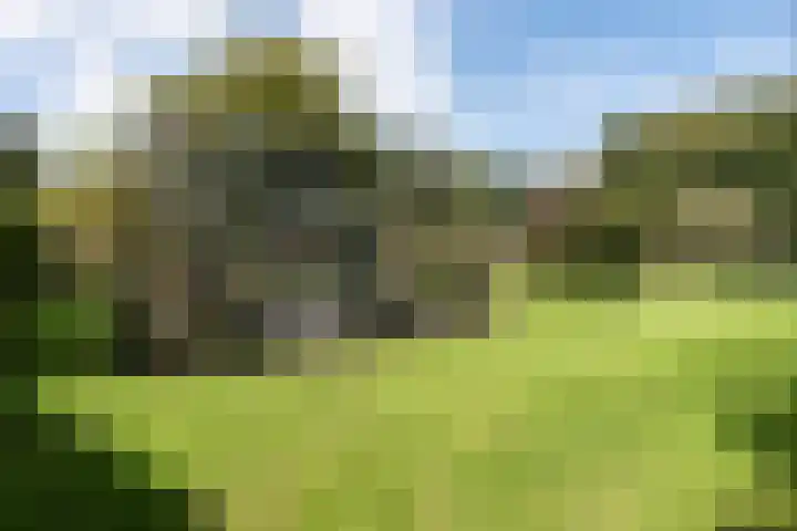 Wüstelaan 76 Santpoort-Zuid thumbnail 52