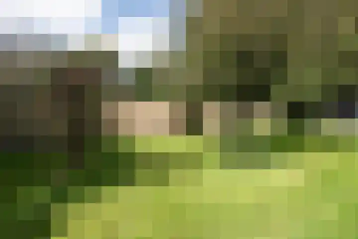 Wüstelaan 76 Santpoort-Zuid thumbnail 53