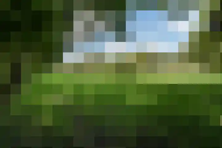 Wüstelaan 76 Santpoort-Zuid thumbnail 56