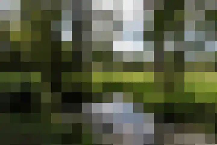 Wüstelaan 76 Santpoort-Zuid thumbnail 57