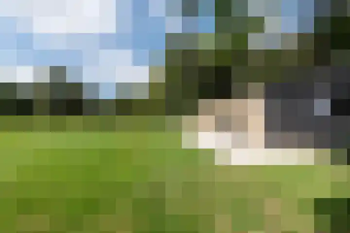 Wüstelaan 76 Santpoort-Zuid thumbnail 59