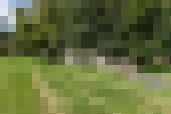 Wüstelaan 76 Santpoort-Zuid thumbnail 62