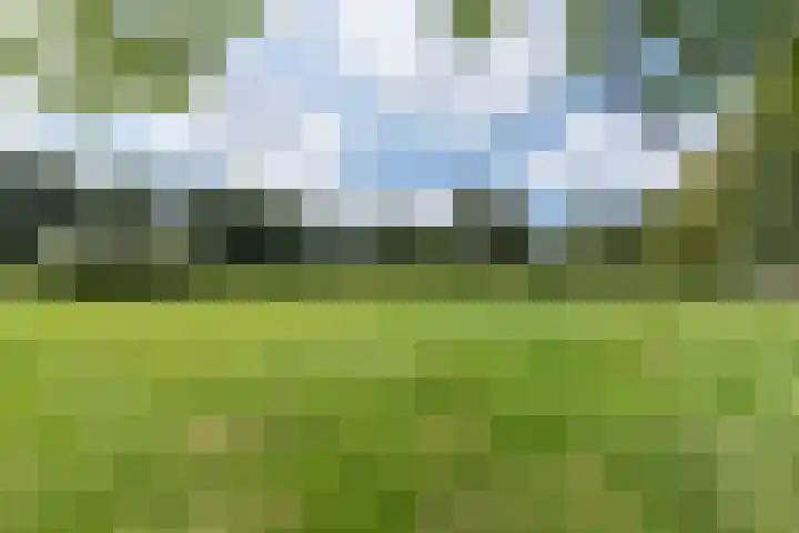Wüstelaan 76 Santpoort-Zuid thumbnail 63