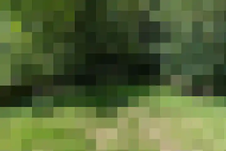 Wüstelaan 76 Santpoort-Zuid thumbnail 64