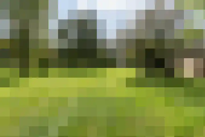 Wüstelaan 76 Santpoort-Zuid thumbnail 65