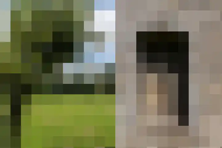 Wüstelaan 76 Santpoort-Zuid thumbnail 66