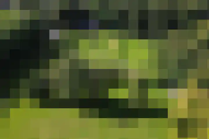Wüstelaan 76 Santpoort-Zuid thumbnail 77