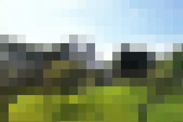 Wüstelaan 76 Santpoort-Zuid thumbnail 79