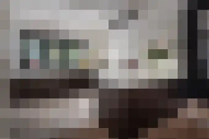 Wüstelaan 76 Santpoort-Zuid thumbnail 8