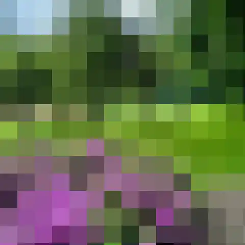 Wüstelaan 76 Santpoort-Zuid thumbnail 81
