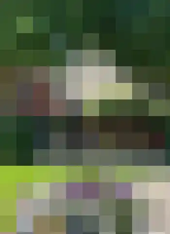 Wüstelaan 76 Santpoort-Zuid thumbnail 82