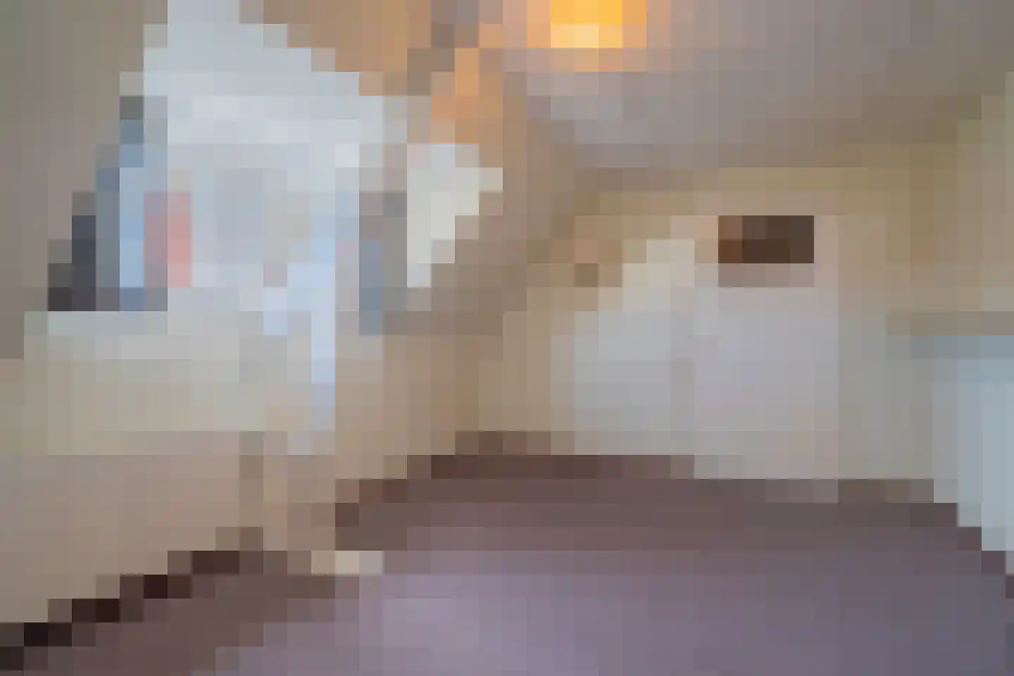 Wüstelaan 85 Santpoort-Noord thumbnail 66