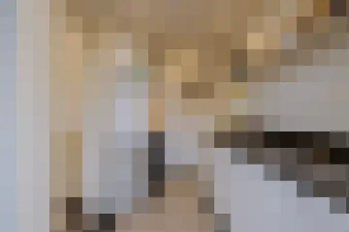 Wüstelaan 93 Santpoort-Noord thumbnail 30