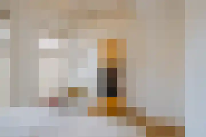 Wüstelaan 93 Santpoort-Noord thumbnail 52