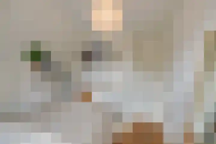 Wüstelaan 93 Santpoort-Noord thumbnail 57