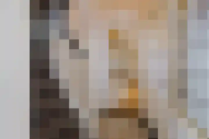 Wüstelaan 93 Santpoort-Noord thumbnail 6