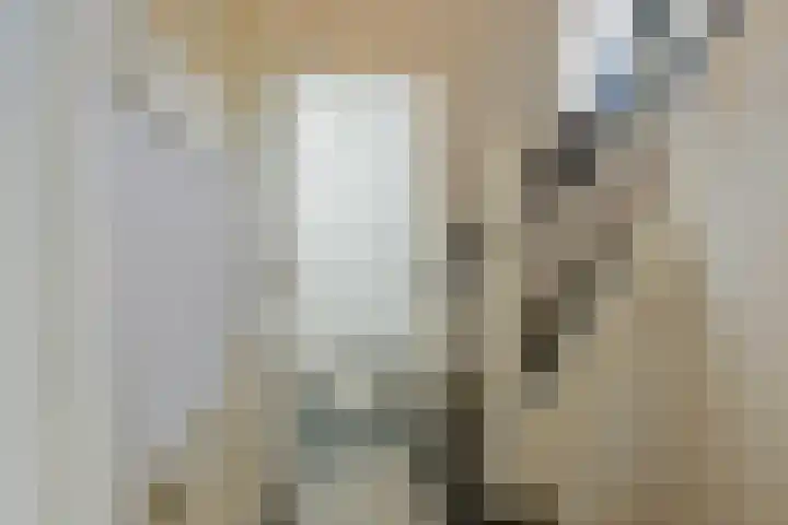 Wüstelaan 93 Santpoort-Noord thumbnail 7