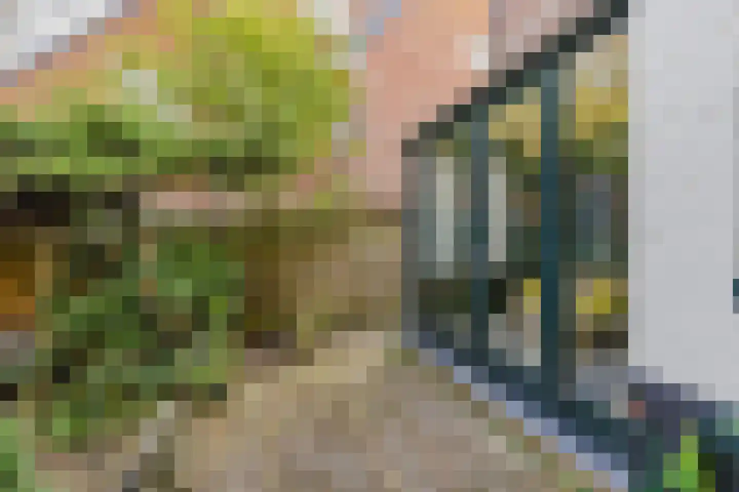 Wüstelaan 97 Santpoort-Noord thumbnail 21