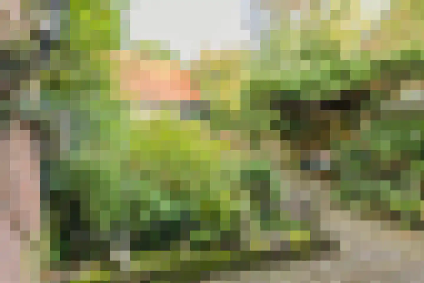 Wüstelaan 97 Santpoort-Noord thumbnail 22