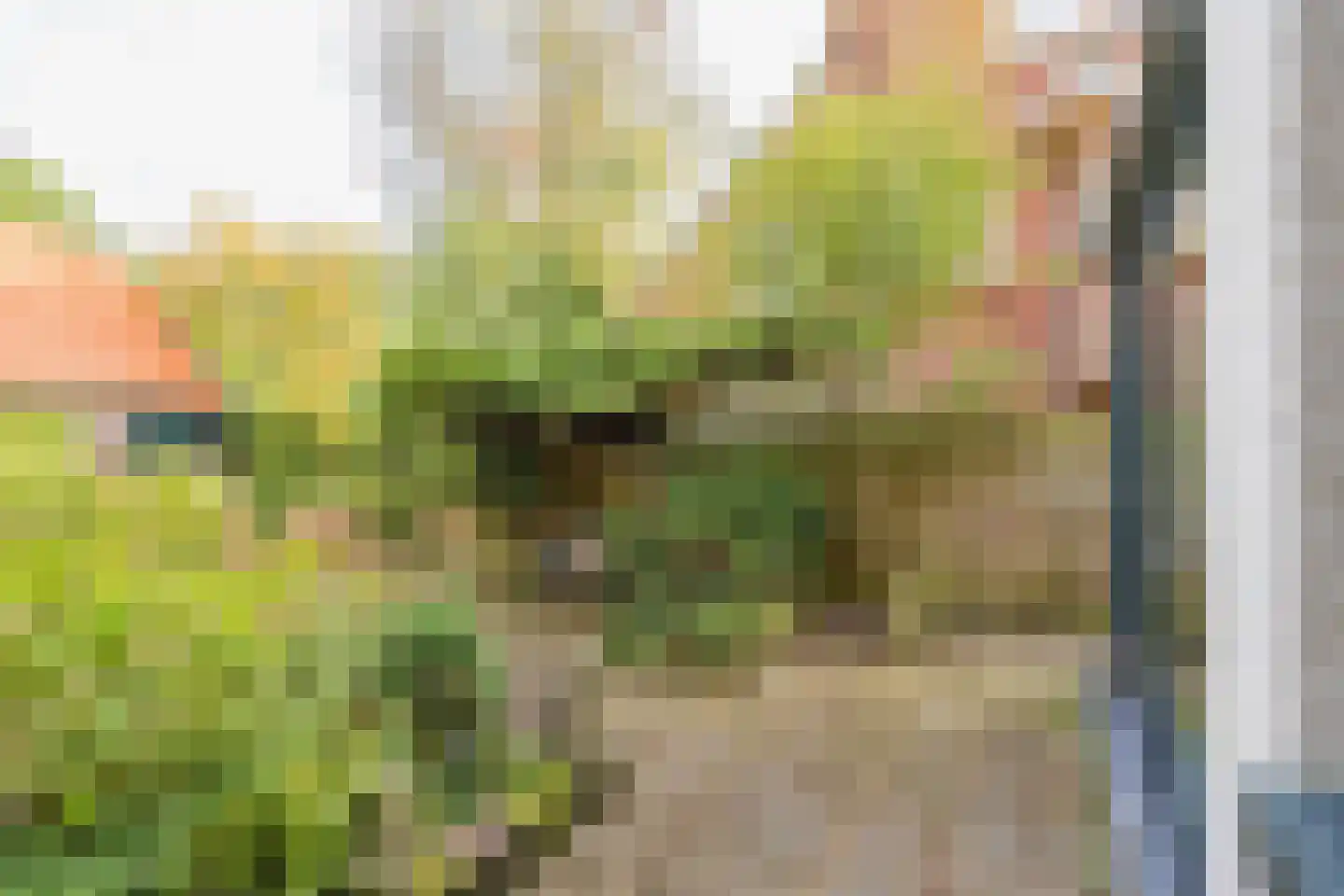 Wüstelaan 97 Santpoort-Noord thumbnail 23