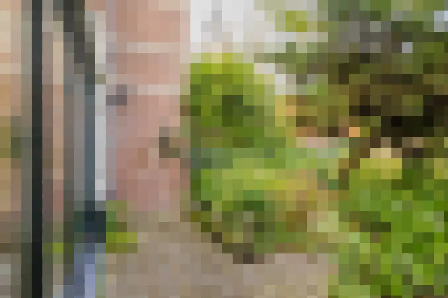 Wüstelaan 97 Santpoort-Noord thumbnail 24