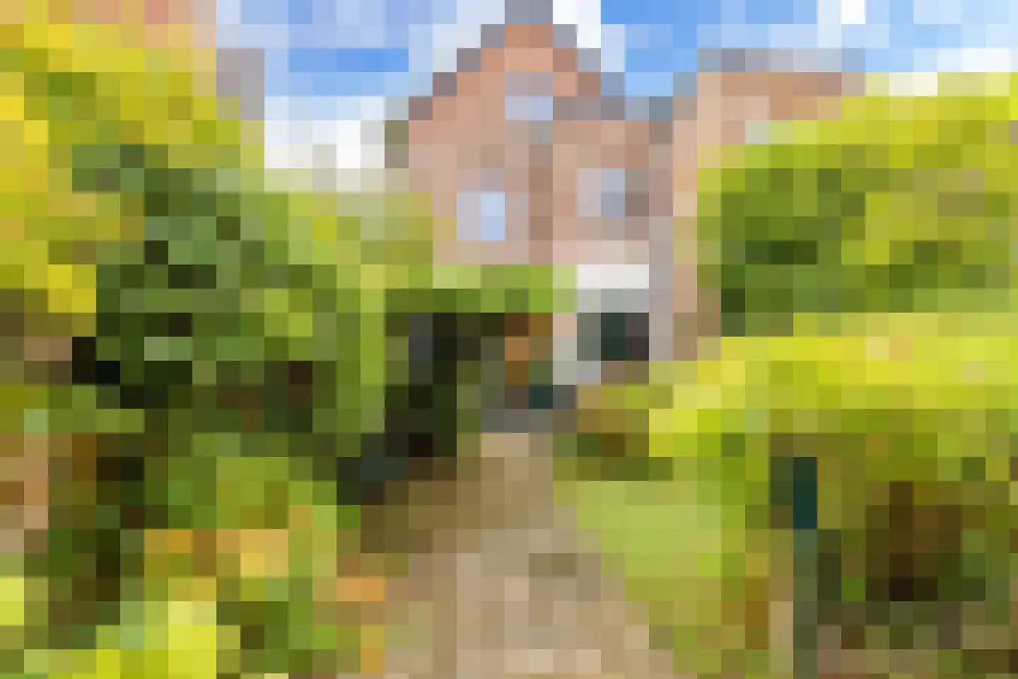 Wüstelaan 97 Santpoort-Noord thumbnail 4