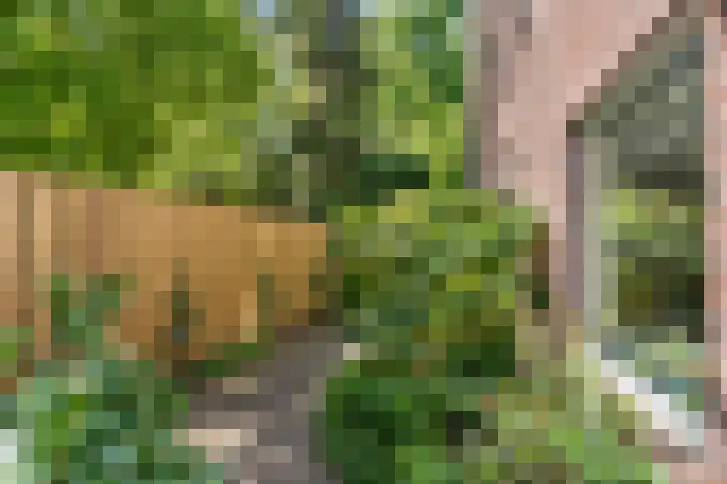 Wuustersgoed 11 Bennekom thumbnail 11
