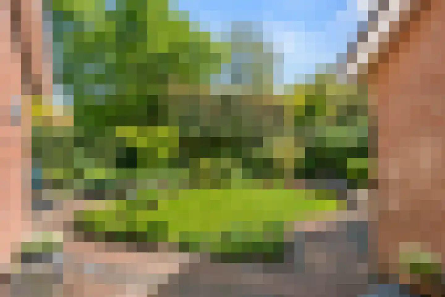 Wuustersgoed 11 Bennekom thumbnail 16