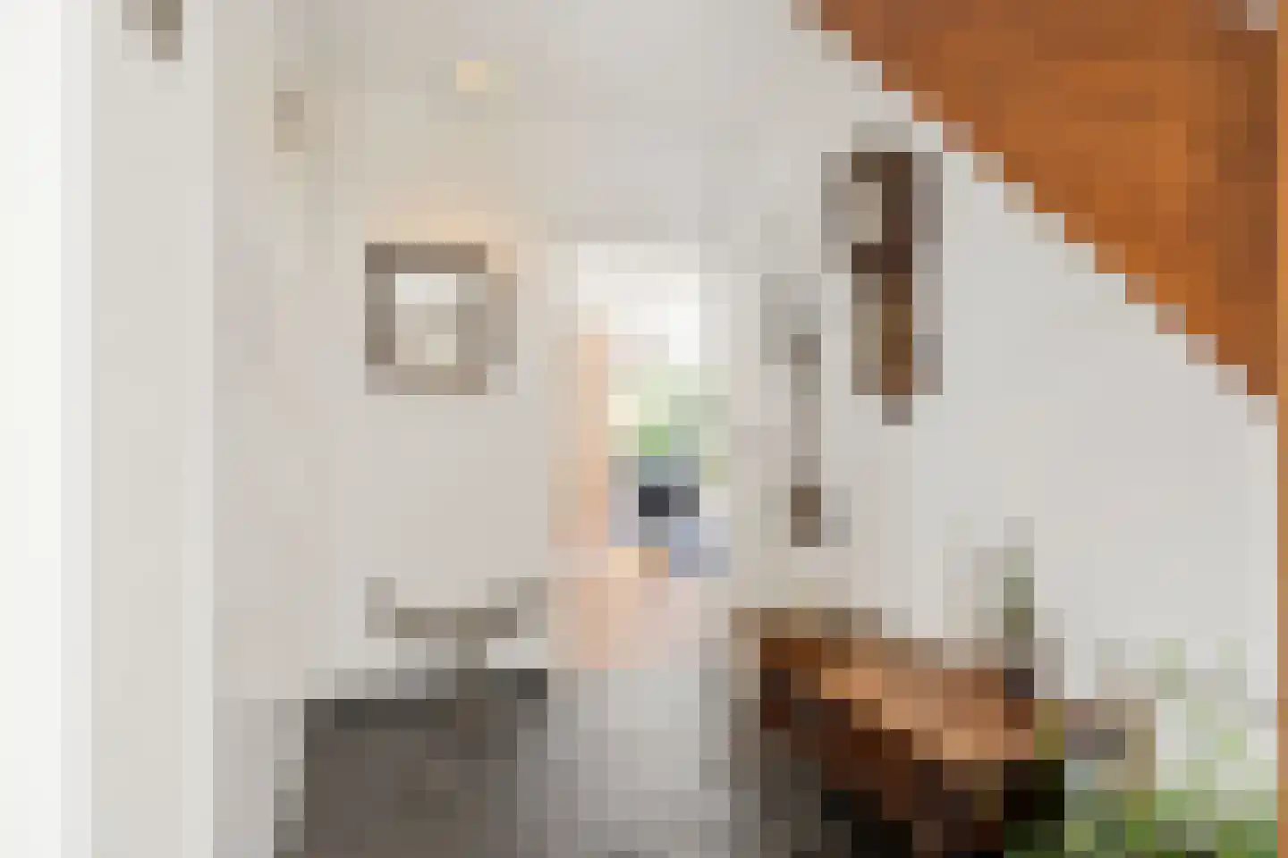 Wuustersgoed 11 Bennekom thumbnail 22