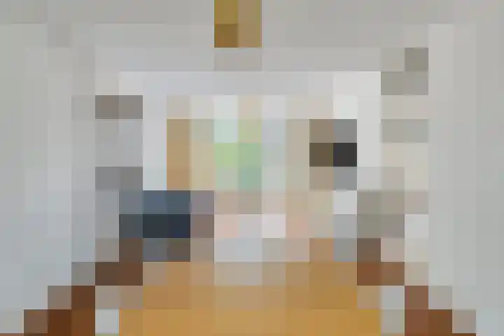 Wuustwezelstraat 1 Breda thumbnail 11