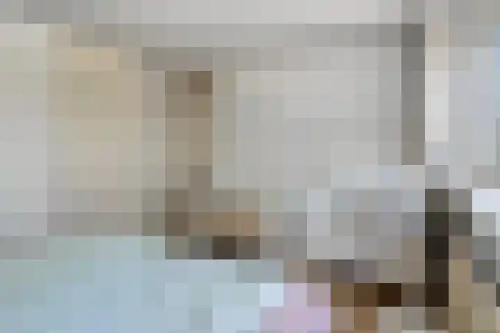 Wuustwezelstraat 1 Breda thumbnail 15