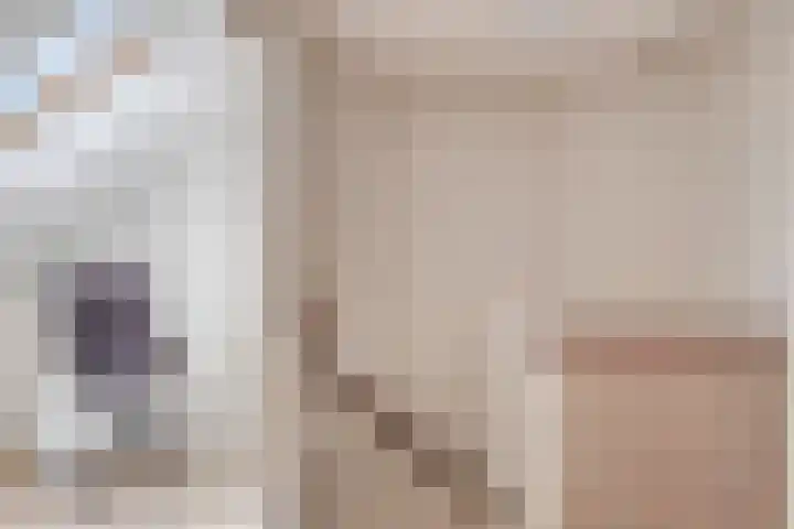 Wuustwezelstraat 1 Breda thumbnail 23