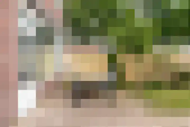 Wuustwezelstraat 1 Breda thumbnail 28